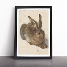 Albrecht Durer The Hare Wall