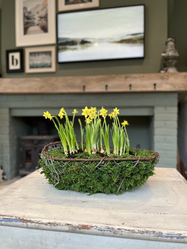Weathered wire basket - , planter
