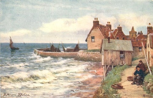 Fifeshire coast scotland - coast, st