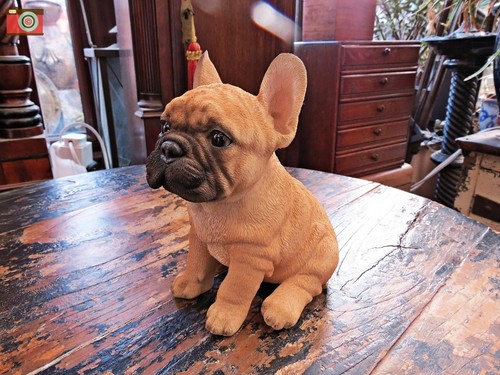 Sitting french bulldog - bulldog, puppy
