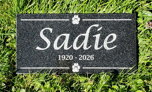 Pet memorial burial - burial, grave