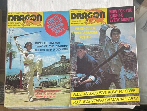 Dragon the kung - fu,
