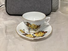 ROSINA YELLOW ROSE ENGLAND