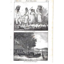 NATIVE AMERICAN INDIANS