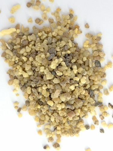 Sudanese frankincense - sudanese,