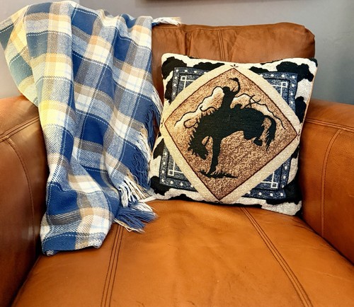 Vintage western bucking bronco - western,
