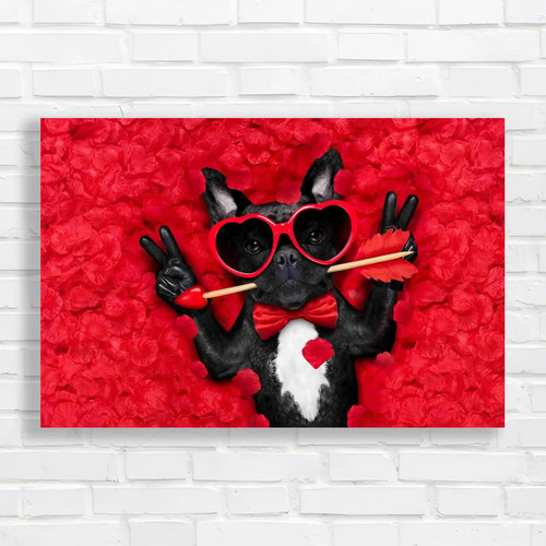 Adorable french bulldog - bulldog, bed
