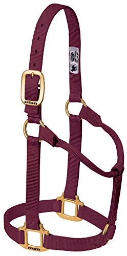 Premium burgundy yearling - premium,