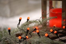 Red berry Christmas fairy 100