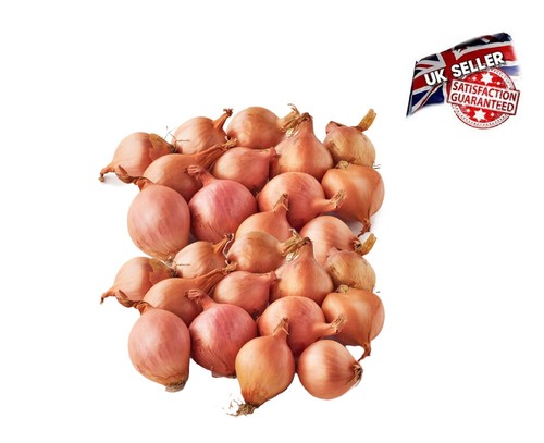 Fresh british pickling - british, brown