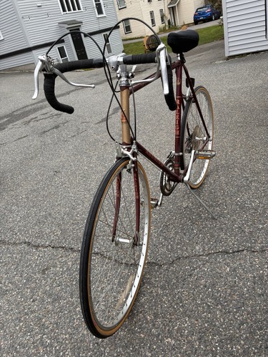 Raleigh vintage racing - vintage, bike