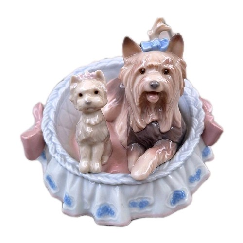 Lladro yorkshire terriors - yorkshire,
