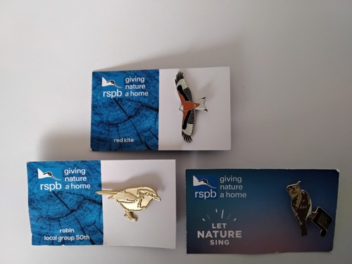 Rspb pin badges red kite - ,