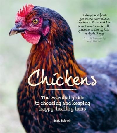 Chickens free - -,