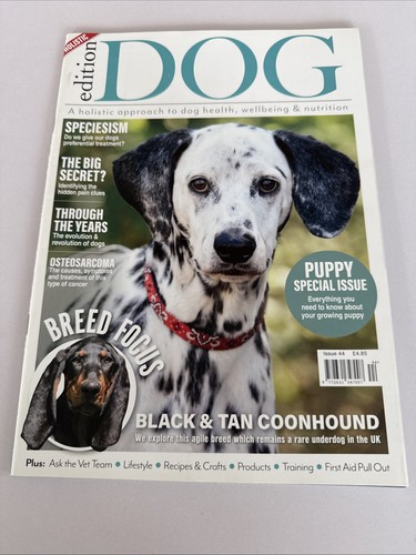 Edition dog issue magazine - issue,