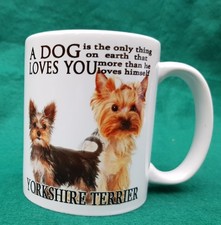 Kaz Mugz Yorkshire Terrier A