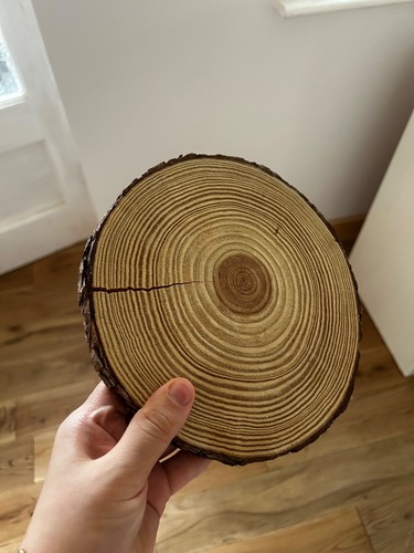 20cm wooden rustic tree - wooden, trunk