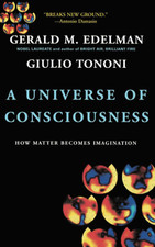A Universe of Consciousness