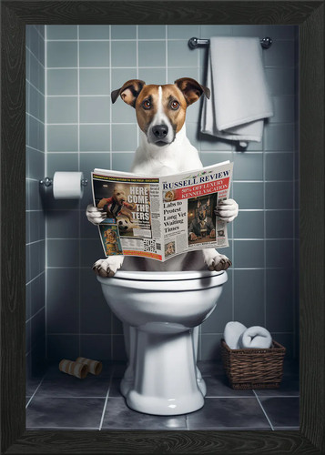 Jack russell the toilet - jack, on