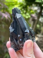 Morion Quartz Crystal Cluster