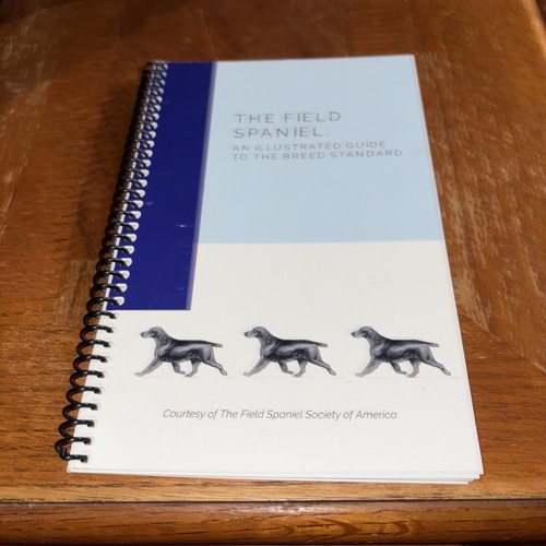 1998 the field spaniel - 1998, an