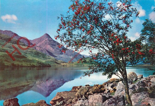 Picture postcard loch - postcard-, leven