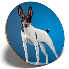 1 x Toy Fox Terrier Dog Puppy