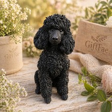 Vivid arts black - arts, poodle