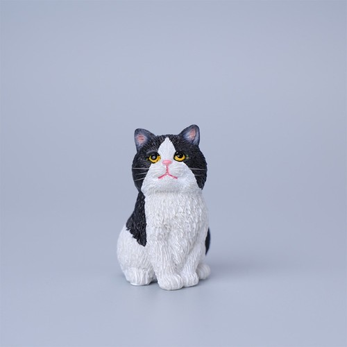 1pc mini cat pet - model, car
