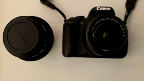 Canon eos 650d 0mp - canon,