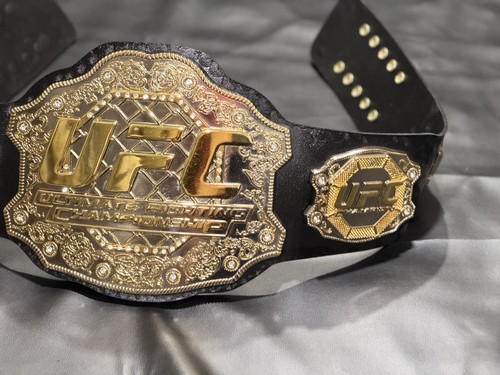 Ufc ultimate fighting champion
