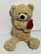 Valentines Day Teddy Bear With