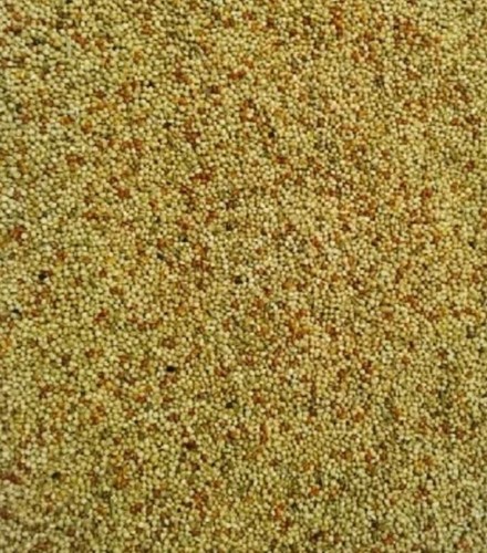 Mayfield budgie special seed - mayfield,