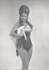 Brunette Models w Baby Pig B &
