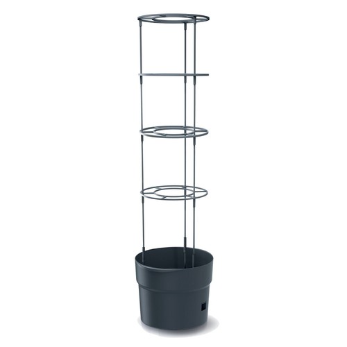 Tomato grower planter pot - tomato,