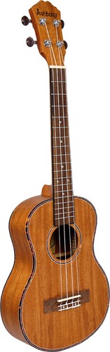 Ashbury 85tm tenor - tenor, ukulele