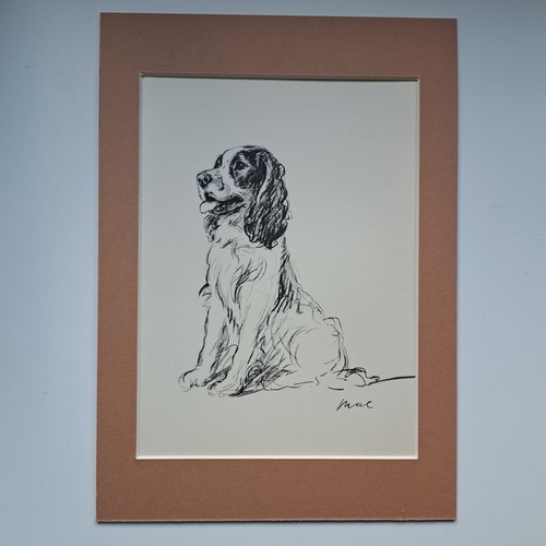 Lucy dawson artist - dawson,