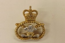 MILITARY BADGE THE STAFFORDSHIRE REGIMENT 3CMS BY 3CMS (683)
