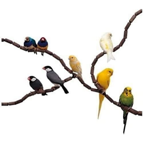 Ferplast flexi perch - flexi, bird