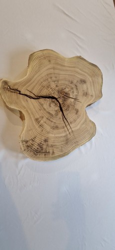 Kiln dried acacia wood - dried,