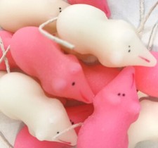 Novelty Pink and White Sugar