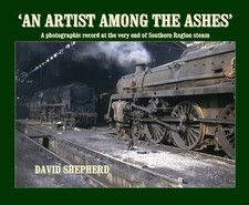 Artist among the ashes - among, a