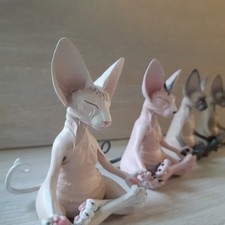 Cute Cat Decor Hairless Cat