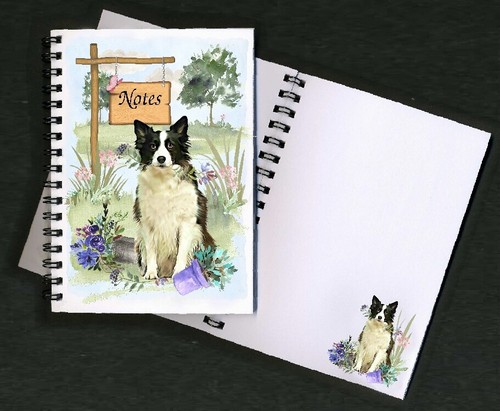 Border collie dog - border,