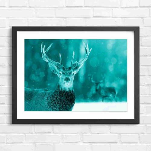 Majestic red stag - stag, in