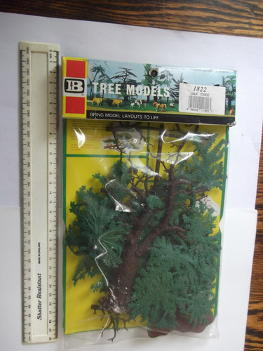 Britains oak tree in - ,