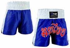 EVO Muay Thai Martial Arts
