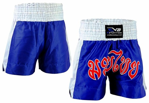 Evo muay thai martial arts - evo,