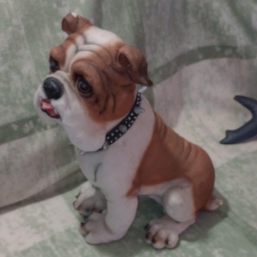 English bulldog dog - english,