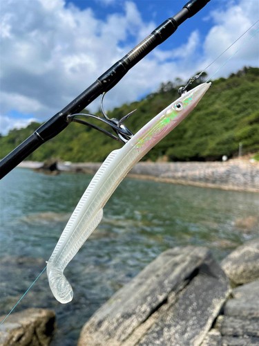 Sidewinder pearl skerries eel - sidewinder,